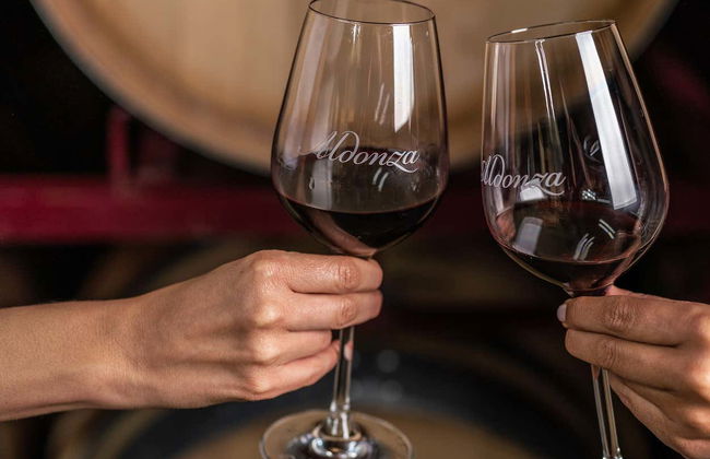 Tour of the Aldonza Gourmet Winery - Foto 7