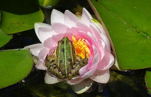 Gästehaus Biedermann - Photo 29