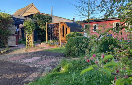 Familiennest am MüritzSee mit Kamin & Sauna - Foto 50