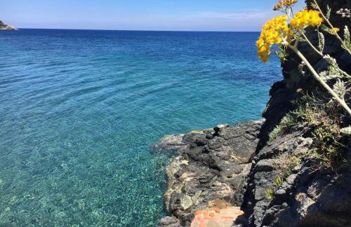 Casa del Mare - Oasi verde a soli 100m dal mare! - Foto 13