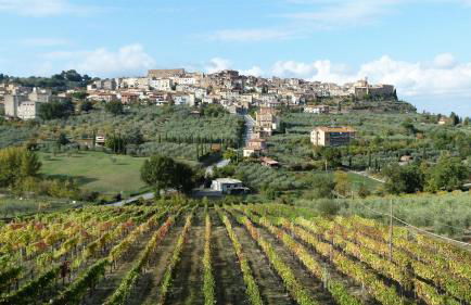 Agriturismo La Pietriccia - Foto 136