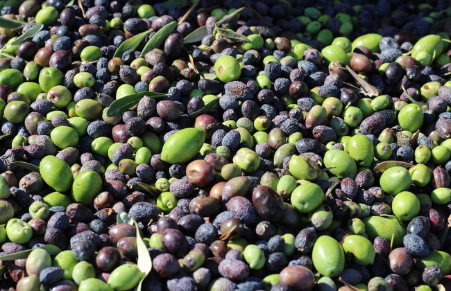 Agriturismo Vulcano - Foto 19