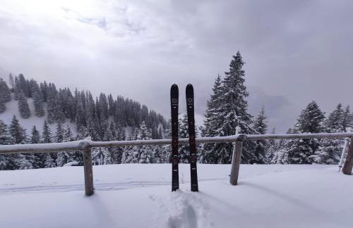 Landhaus im Allgäu - Foto 47