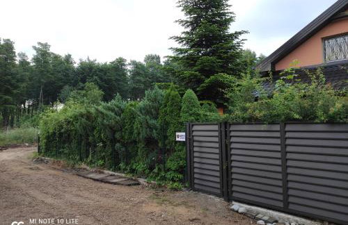 Miły Domek Sasino - Foto 24