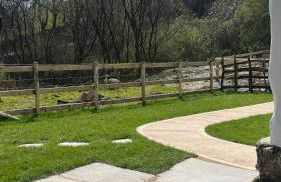 Peaceful Dyfi Valley Cottage - Hendre-gau - Photo 38