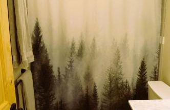 Bearly Connected, a brand new cabin in the woods - Foto 16