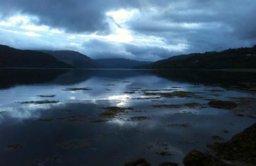 Ronaldsay Log Cabin - Photo 14