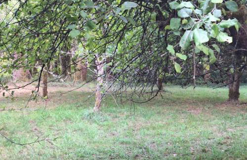 30 Peaceful Acres - Foto 18