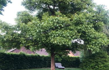 Auszeitwohnung - Foto 27