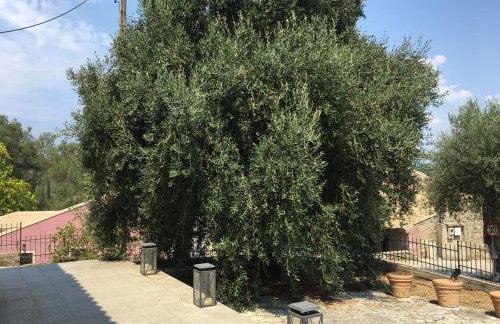 Villa Mariza Corfu - Foto 56