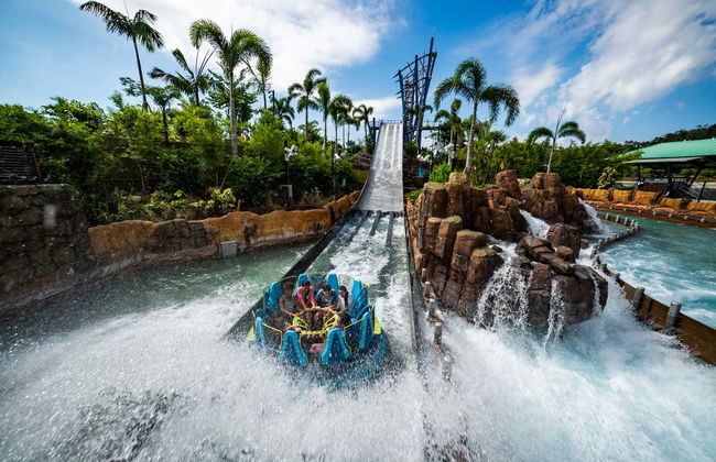 Billet pour SeaWorld Orlando - Photo 2