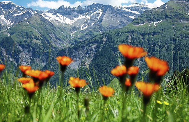 Chalet in Riddes Near Ski Lift Les 4 Vallees - Foto 33