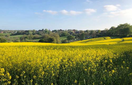 Tudor House - Foto 13