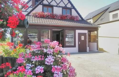 Alsace Appartements Meyer-Krumb - Foto 16