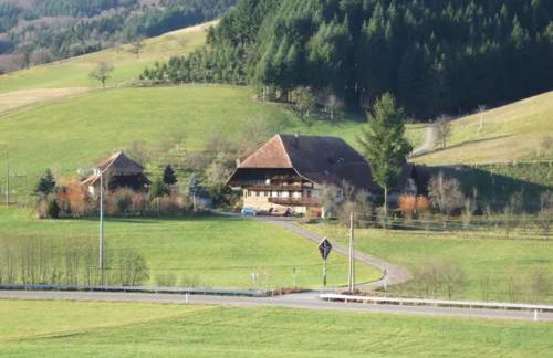 Sonniges-naturnahes-Schwarzwald-Ferienhaeuschen - Foto 15