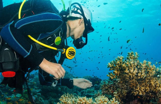 Scuba Diving in Khasab - Photo 6