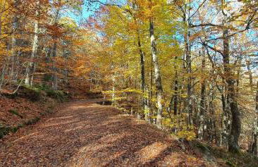Casa Dulcinea en Brañosera - Foto 32