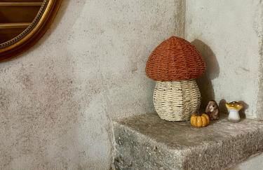 Parenthèse en Forêt - Gîte Baliveau, Sidobre - Photo 11