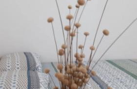 Apartamento na Estrada do Coco and próximo Aeroporto - Foto 16