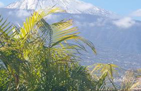 Ático Mirador de Humboldt - Foto 27