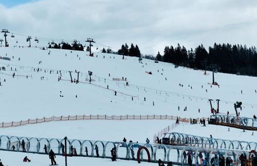 Blackforest Perla - Foto 31