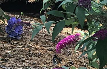 Ridgecrest A Unique Rustic Cabin in Blowing Rock NC - Foto 39