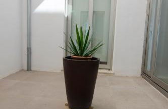 Apartamento s' Estanyol Mar - Foto 20