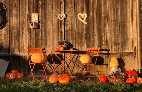 Landhaus Isolde - Photo 27