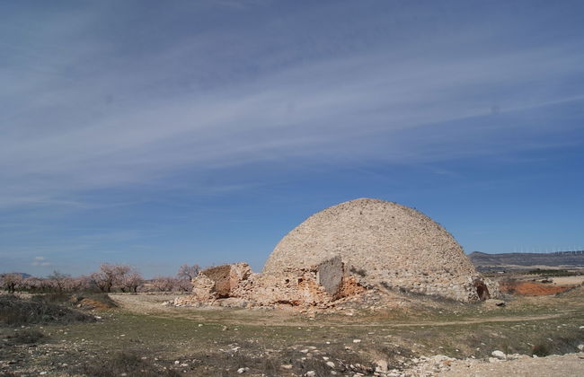 Finca El Romeral - Foto 49