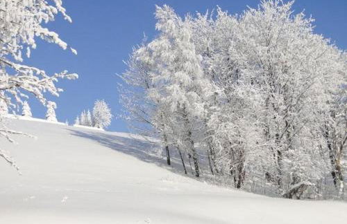 Apartment Wiesengrund by Interhome - Foto 21