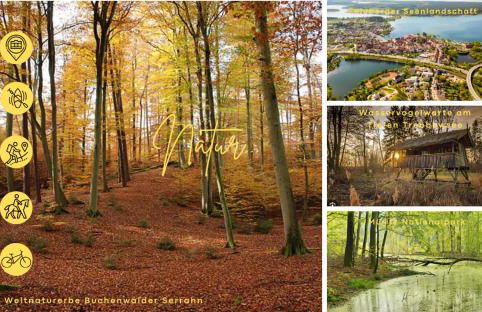 Modernes Ferienhaus mit 4 separaten Appartements, je mit vollausgestatteter Küchenzeile und eigenem Bad, 2 Gehminuten zum Badesee, Garten, Grillplatz, Kinderspielbereich, Hunde sind willkommen - Foto 46