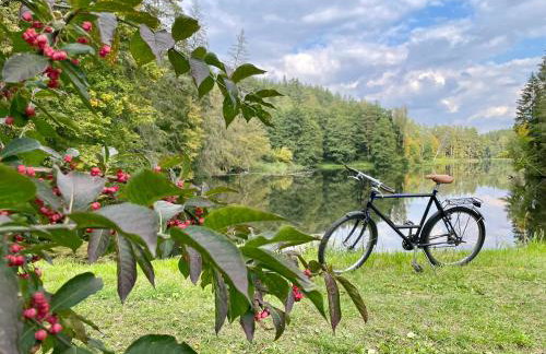 Leśna Baszta - Foto 12