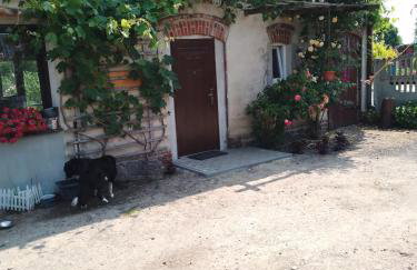 Gospodarstwo agroturystyczne - Foto 47