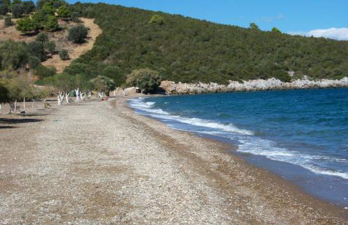 Villa Konaki - Foto 35