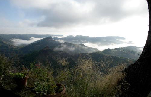 Palazzo Contino - Foto 55