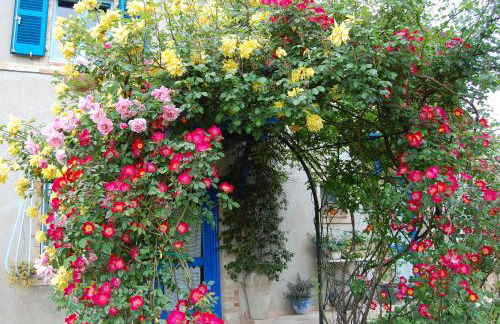 B&B Vento di Rose - Foto 1