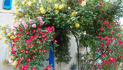 B&B Vento di Rose - Foto 1