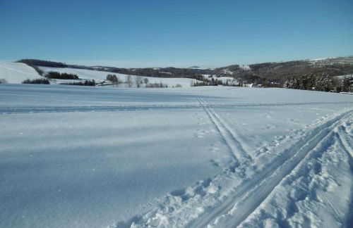 Ferienwohnung Rauscher - Foto 16