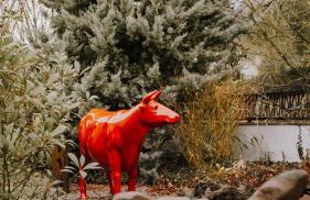 Hollands Pfefferhaus Wein Wald&Weitblick 2SZ Klimaanlage Terrasse Fahrradgarage - Foto 44
