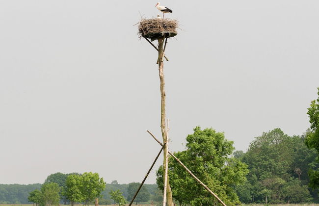Cozy Countryside Escape in Dalfsen - Photo 22