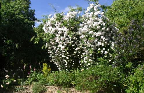 The Cottage Hankerton Priory - Foto 16