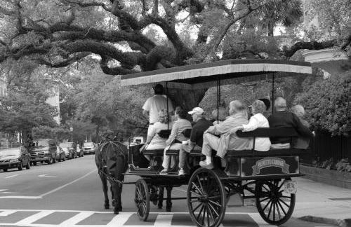 Gertie Downtown - Foto 27