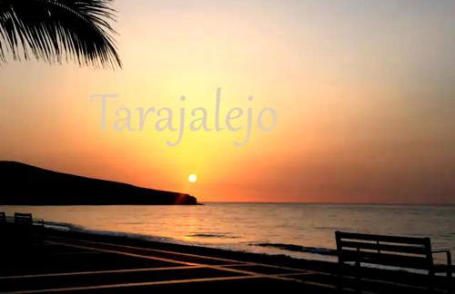 CASA LA ISLA - Tarajalejo - GlasfaserInternet - Garten - Photo 41