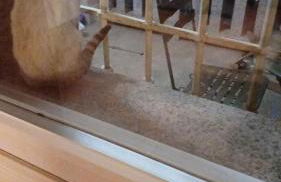 Charming House in Parada with Large Garden - Foto 65