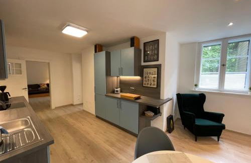 Großzügige Souterrainwohnung in historischer Stadtvilla im Herzen Zellerfelds - Foto 4