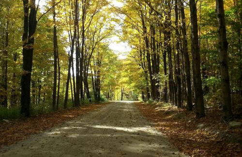 Luxury Yurt Rental Hidden in the Forest near Bristol, Vermont - Foto 30