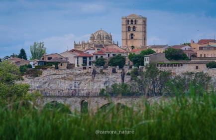 A los Ojos del Río Duero - Foto 21