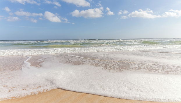 Servizio della struttura