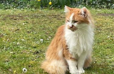 Charmant 110m2 avec jardin privé - Foto 22