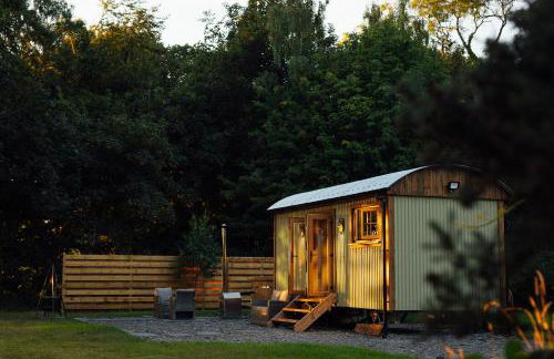 Cwtch Ffynnone Luxury Shepherds Hut - Foto 5